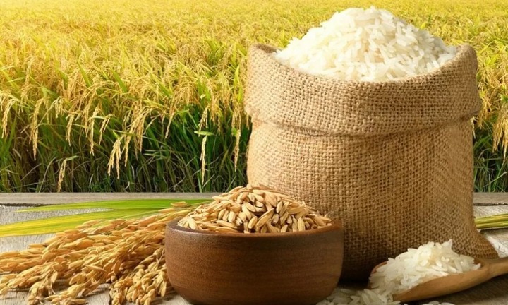 Công dụng bất ngờ của gạo