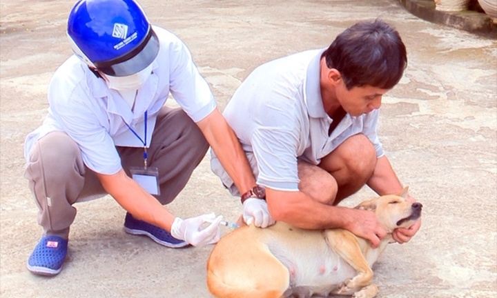 Chủ quan với vết cắn của chó, người đàn ông tử vong nghi do bệnh dại