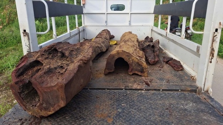 Đi bắt cá, phát hiện gốc gỗ sưa 