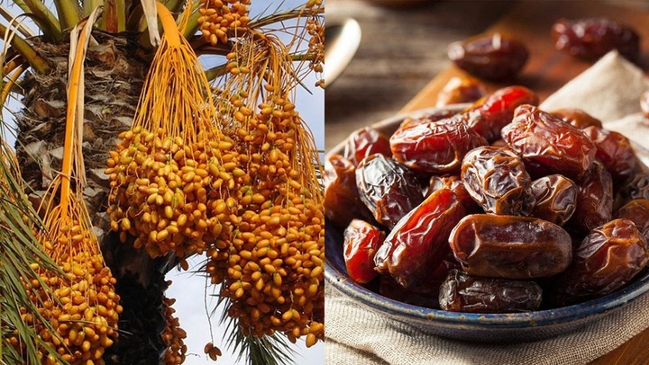 Món ăn vặt giúp bảo vệ gan và đường ruột