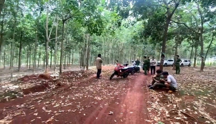 Vụ phát hiện thi thể nam giới treo trên cây cao su ở Bình Phước: Chưa xác định được danh tính