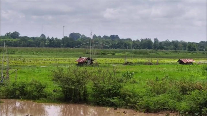 Đang đóng bè cá giữa hồ, 2 người đàn ông bất ngờ bị sét đánh tử vong