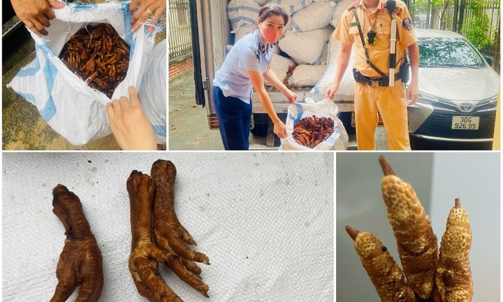 Phát hiện hơn 1 tấn chân gà lên nấm mốc, đang trên đường về Hà Nội tiêu thụ 