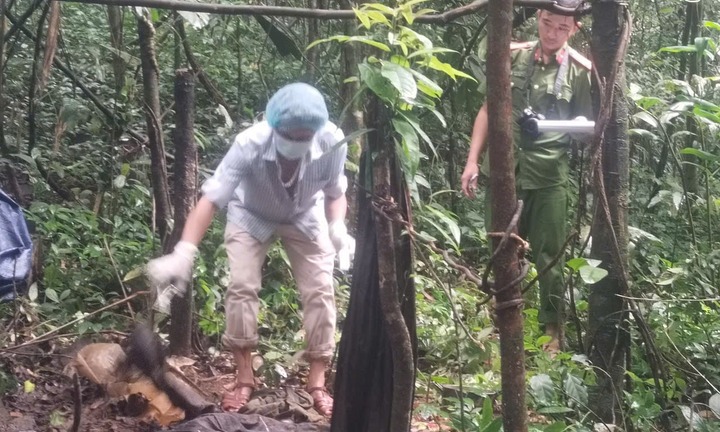 Đi rừng lấy mật ong, người đàn ông tá hoả khi phát hiện bộ hài cốt khô