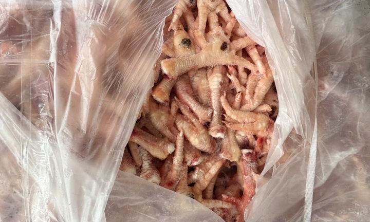 Lào Cai: Khám xét container, phát hiện hơn 1,5 tấn chân gà đông lạnh không rõ xuất xứ