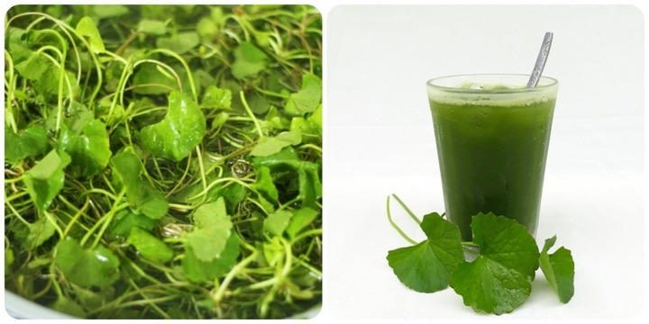 Loại rau giúp mát gan, mùa hè được yêu thích