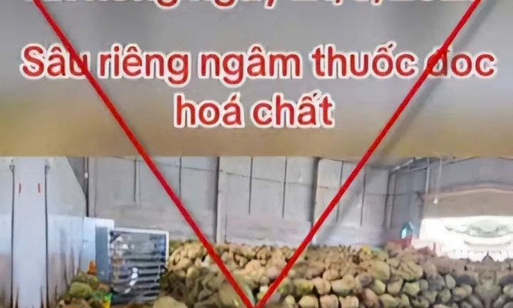 Sự thật về thông tin “sầu riêng nhúng hóa chất ở Đắk Nông