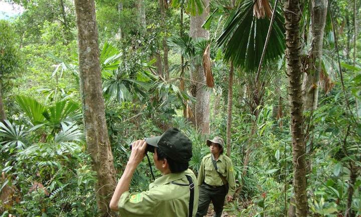 Thái Nguyên: Tăng cường công tác quản lý, bảo vệ rừng