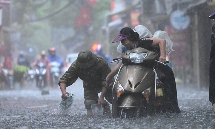 Miền Bắc chuẩn bị 