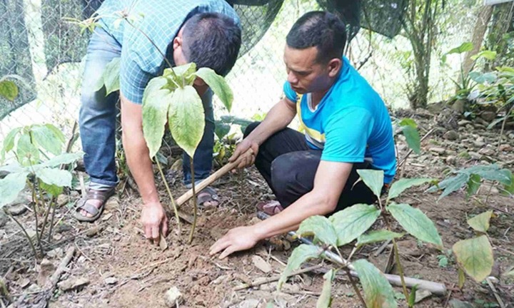 Quảng Ngãi: Công an đề nghị cung cấp hồ sơ 2 đề tài khoa học tiêu tốn tiền tỷ nhưng