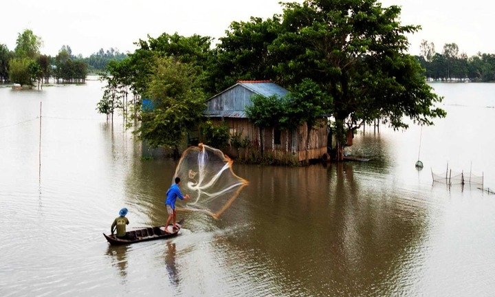 Cù lao Vàm Nao mùa nước nổi