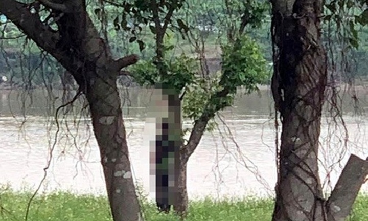 Tá hỏa phát hiện nam thanh niên tử vong trong tư thế treo cổ trên cành cây tại Hà Nội