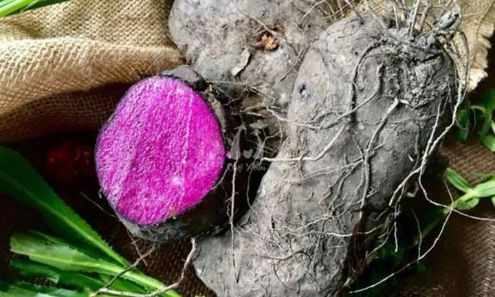 Món ăn nhà nghèo 