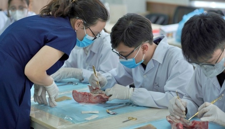 Tuyển sinh 2025: Trường Y Dược, Đại học Quốc gia Hà Nội lần đầu xét tổ hợp có Tiếng Anh