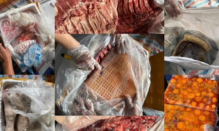 Phát hiện hơn 20 tấn nội tạng bò, gà nấm mốc bốc mùi trong xe container