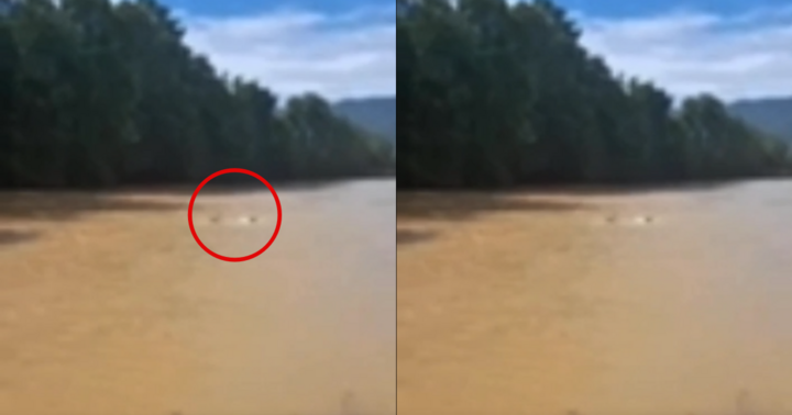 Nghẹt thở giây phút thượng úy CSGT cứu cháu bé chới với giữa dòng nước lũ ở Nghệ An