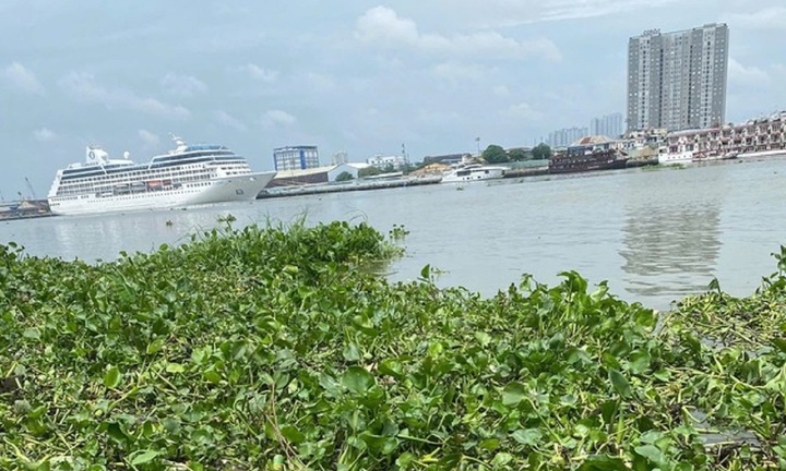 Thương tâm: Phát hiện thi thể trẻ sơ sinh còn nguyên dây rốn trên sông Sài Gòn