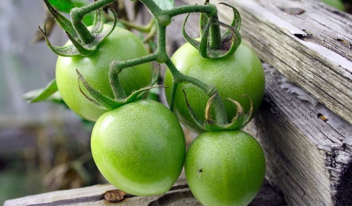 Những loại thực phẩm không nên ăn sống nếu mắc gan nhiễm mỡ