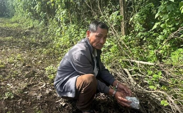 Vụ phá ổ ma túy của cặp tình nhân già: Phát hiện bí mật cất giấu trong vườn nhà 