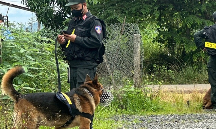 Clip: Cảnh sát dùng chó nghiệp vụ khám xét nhà của đôi tình nhân bị bắt quả tang buôn ma túy