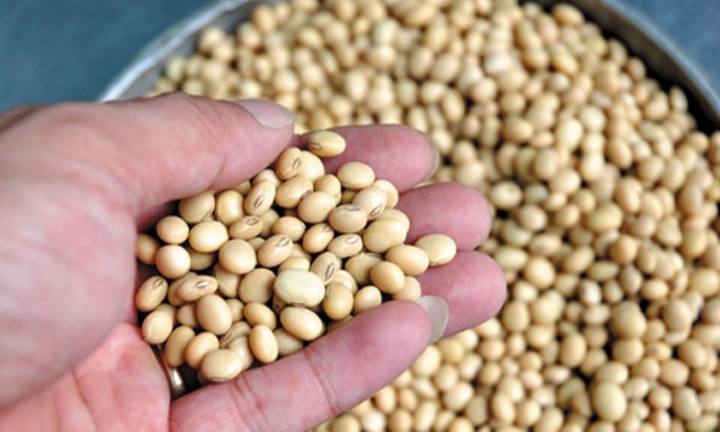 Loại hạt được ví 