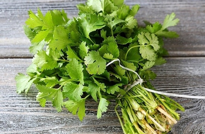 Nhóm người không nên ăn rau mùi