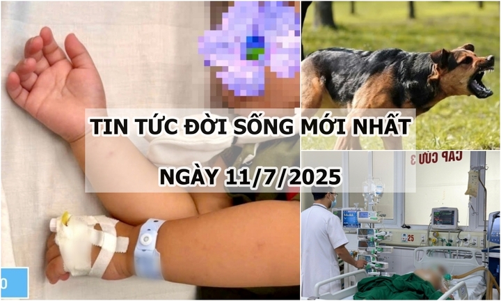 Tin tức đời sống 11/7: Nam thanh niên ở Đắk Lắk tử vong sau 20 ngày bị chó cắn