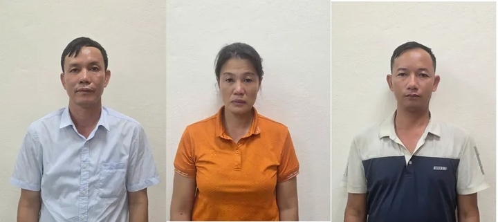 Khởi tố, bắt tạm giam Giám đốc một công ty lâm nghiệp ở Quảng Ninh