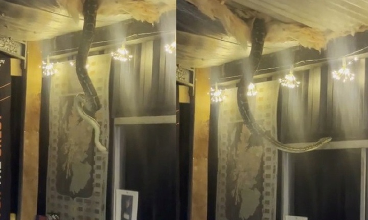 Clip: Xem TV giữa đêm, người đàn ông bàng hoàng thấy cảnh tượng