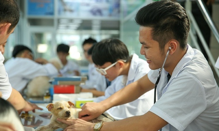 Học phí dự kiến ngành Thú y của 5 trường đại học, cao nhất gần 40 triệu/năm