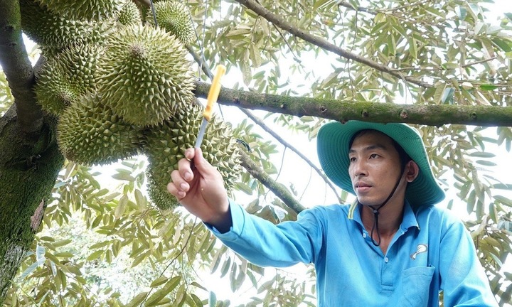 Thanh niên 27 tuổi ngồi không cũng kiếm 3 triệu/ngày, bí mật nằm cả ở khu vườn sau nhà