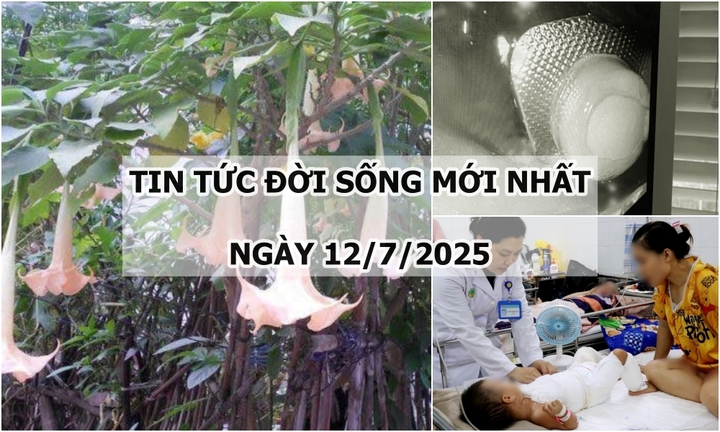 Tin tức đời sống 12/7: 3 người trong một gia đình đi cấp cứu sau bữa trưa