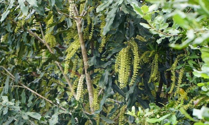  Cử nhân thất nghiệp 