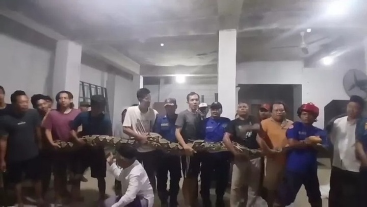 Clip: Rợn người cảnh bắt 