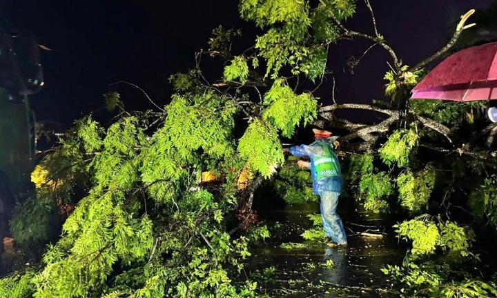 Nghệ An: Người đàn ông tử vong do cây gãy rơi trúng người trong cơn mưa dông lớn