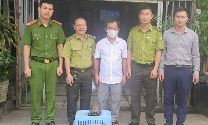 Phát hiện con vật quý hiếm trong vườn nhà, người đàn ông bắt giao cho công an