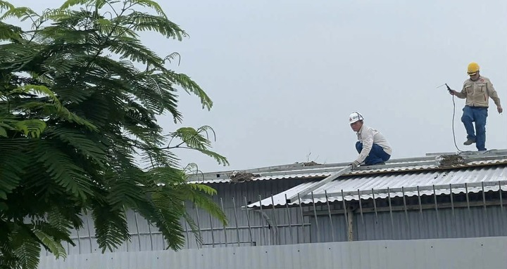 Sở GD&ĐT Hải Phòng yêu cầu đảm bảo an toàn tuyệt đối cho học sinh, giáo viên trước bão số 3