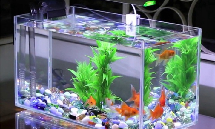 Món đồ không nên tặng người khác