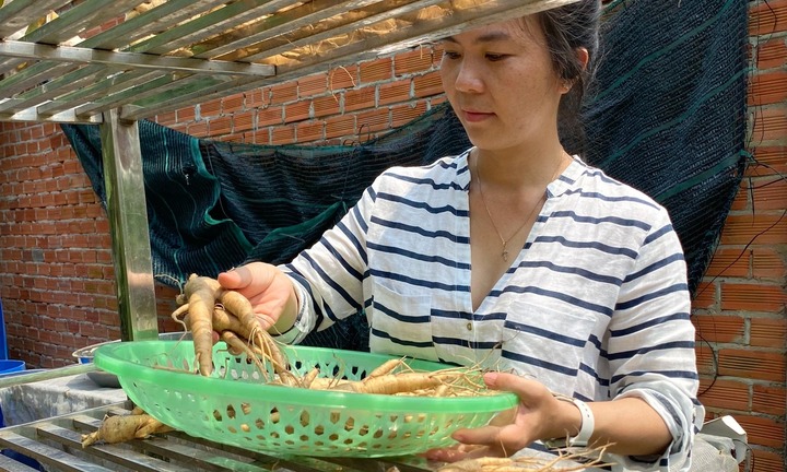 Bỏ việc ngân hàng, 8X Long An về quê trồng thứ cây 