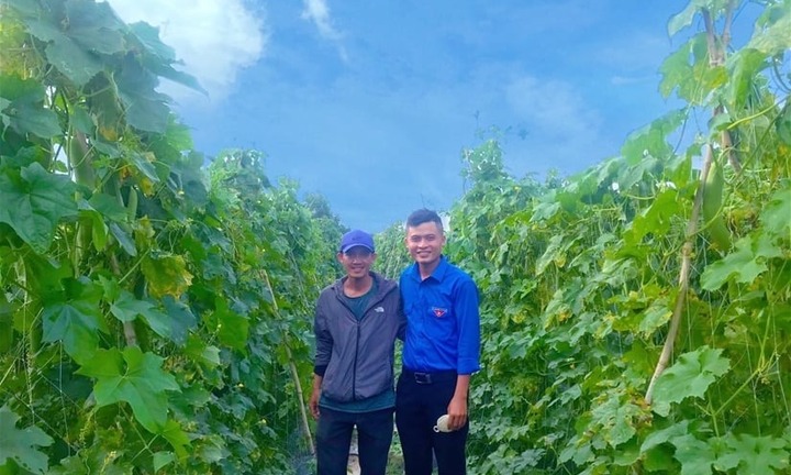 Thạc sĩ kinh tế bỏ phố về quê, 