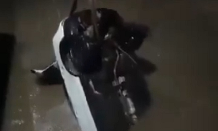 Clip: Vớt chiếc Audi bị rơi xuống mương vì đi theo Google Maps