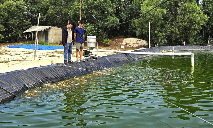 Bỏ việc công ty điện gió, 9X về quê nuôi loài cá 