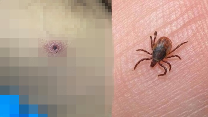 Xuất hiện dấu hiệu lạ nơi 