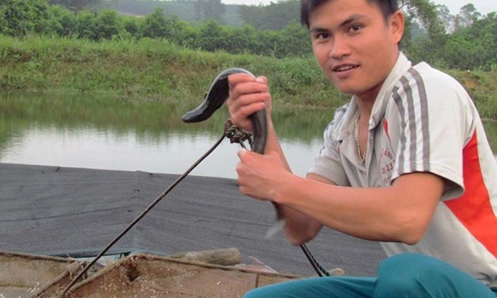 Bỏ phố về quê nuôi 