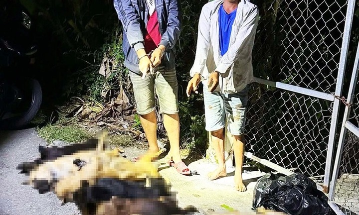 Tin pháp luật nổi bật 24h qua: Bắt nhóm trộm chó manh động với 12 con chó đã chết