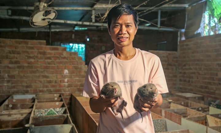 Bỏ nghề hào nhoáng, 8X Đà Nẵng về quê nuôi con vật 