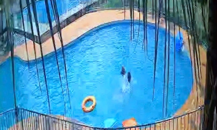 Vụ bé 7 tuổi tử vong tại hồ bơi ở Đồng Nai: Người nhà nhờ nhân viên trông giúp