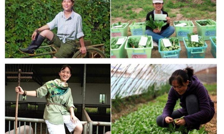 Tiến sĩ Đại học Thanh Hoa bỏ phố về trồng rau, nuôi lợn, mỗi năm thu gần 30 tỷ