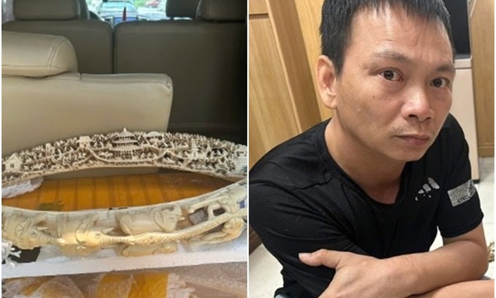 Bắt Phan Anh Điền mua bán ngà voi trái phép