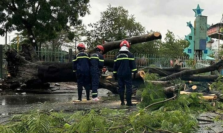 Mưa lớn kèm gió giật khiến cây xanh bật gốc, 2 vợ chồng đi xe máy bị thương